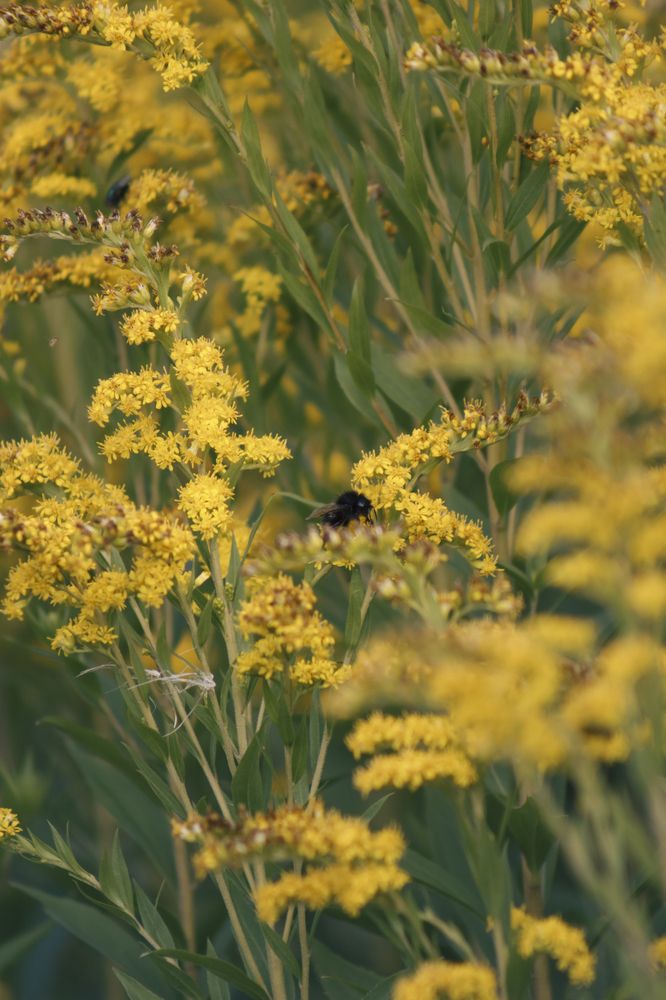 Photograph by Anna Dubinina