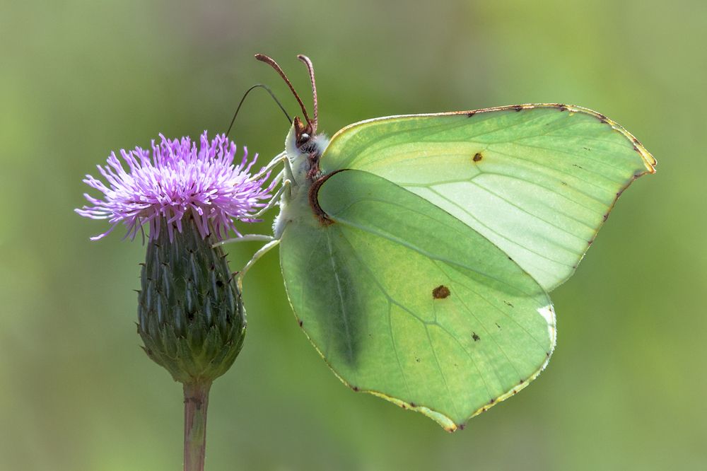 Photograph by Сергей Алексеев