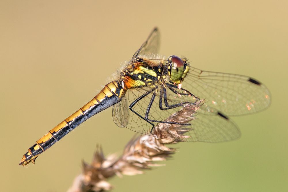 Photograph by Сергей Алексеев