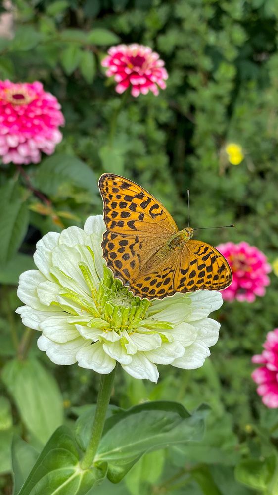 Photograph by Людмила Казак