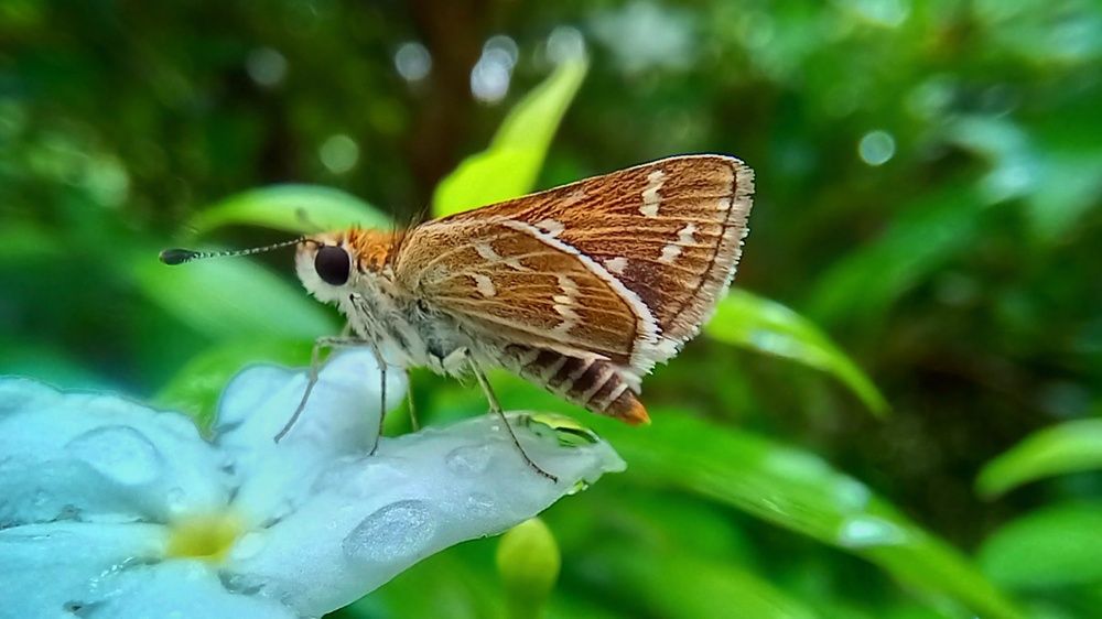 Фотография автора Tharuni Shyamika Lakmali Wella Waduge