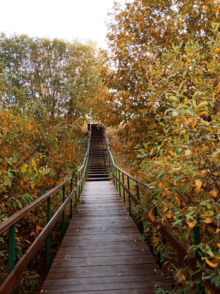 Фотография автора Юлия Нижура