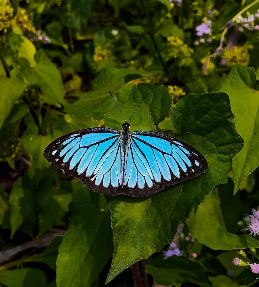 Photograph by Souvik Bhattacharyya