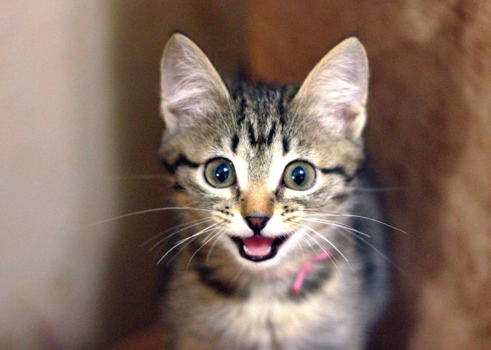 Photograph by Пискунов Денис