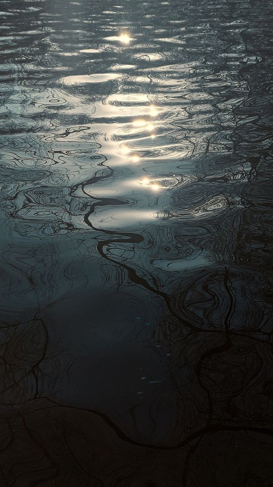 Photograph by Васильева Ирина