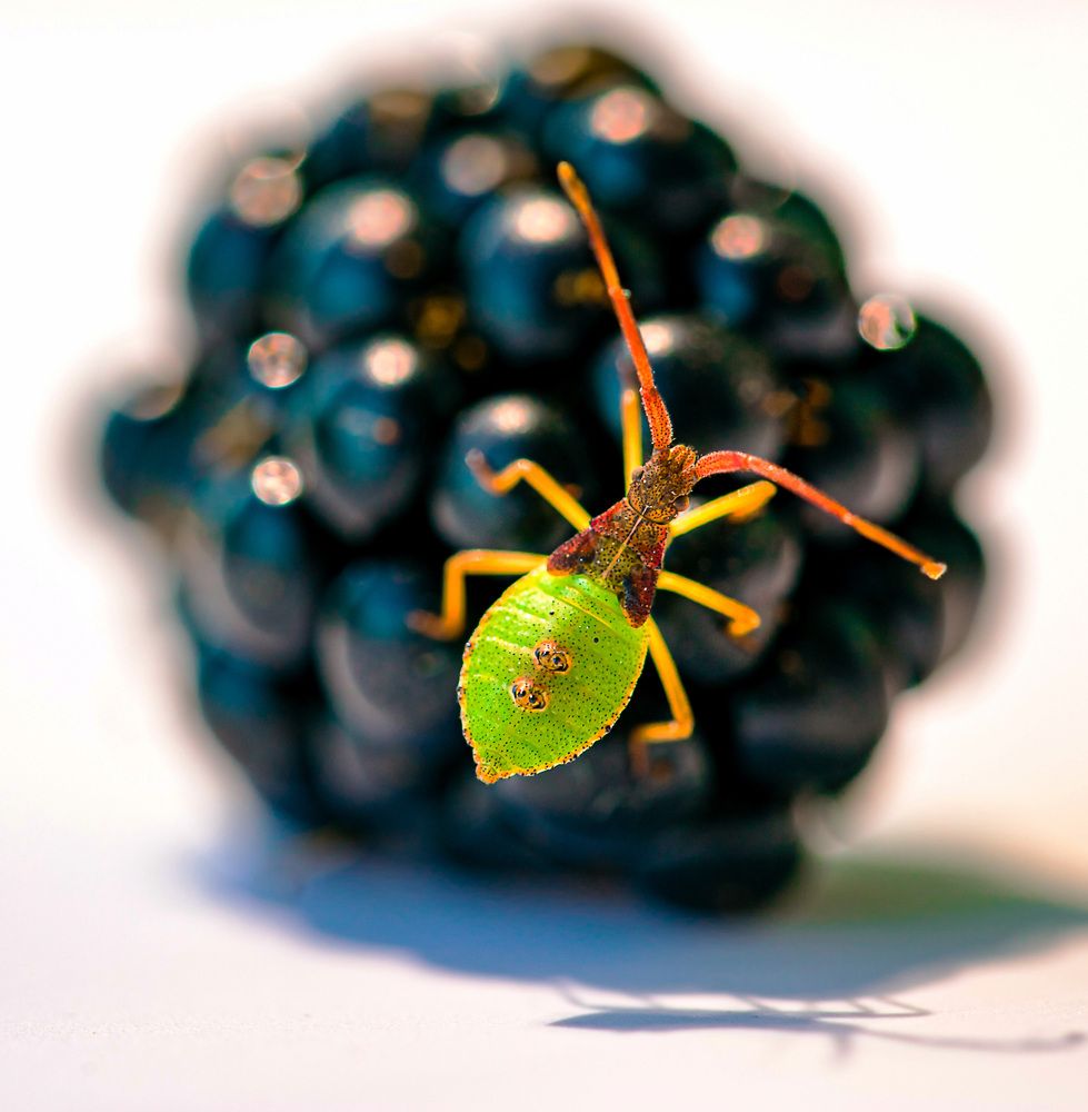 Фотография автора Igor Lukin