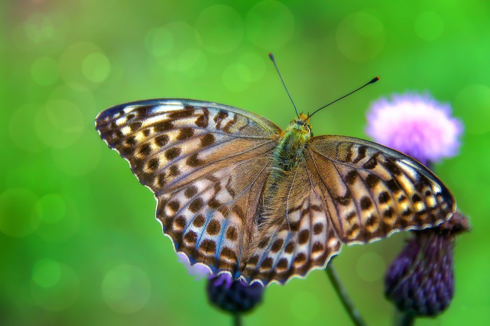 Фотография автора Марина Юдинских
