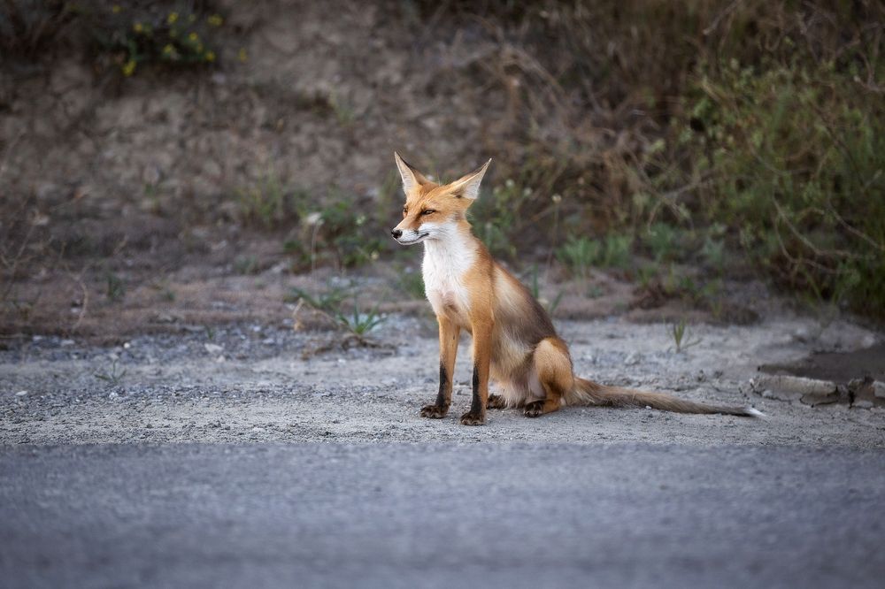 Photograph by Анастасия Петрова