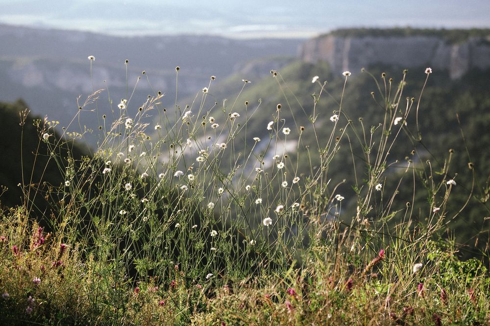 Photograph by Анастасия Петрова