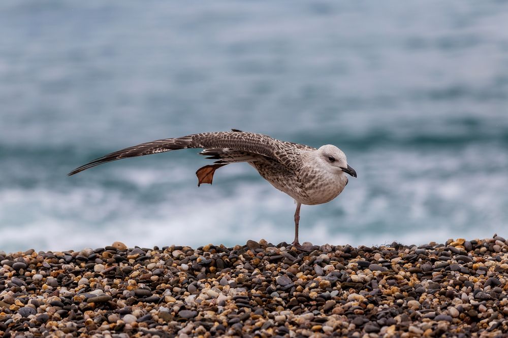 Photograph by Анастасия Петрова