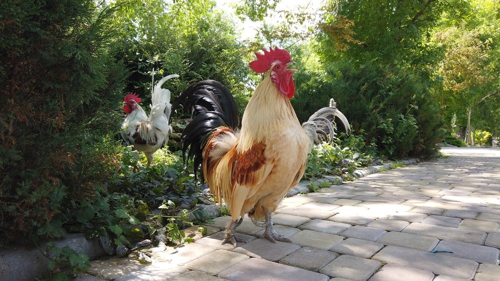 Photograph by Анастасия Петрова