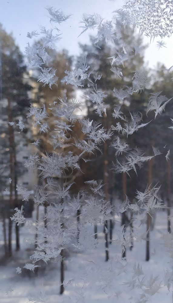 Photograph by Анна