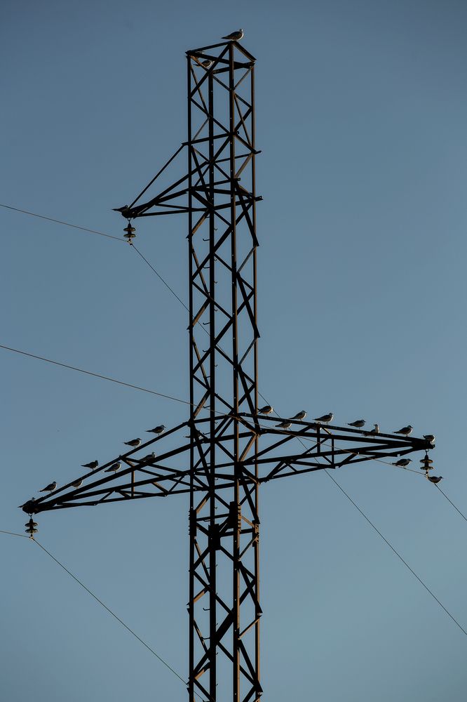 Photograph by Анастасия Петрова