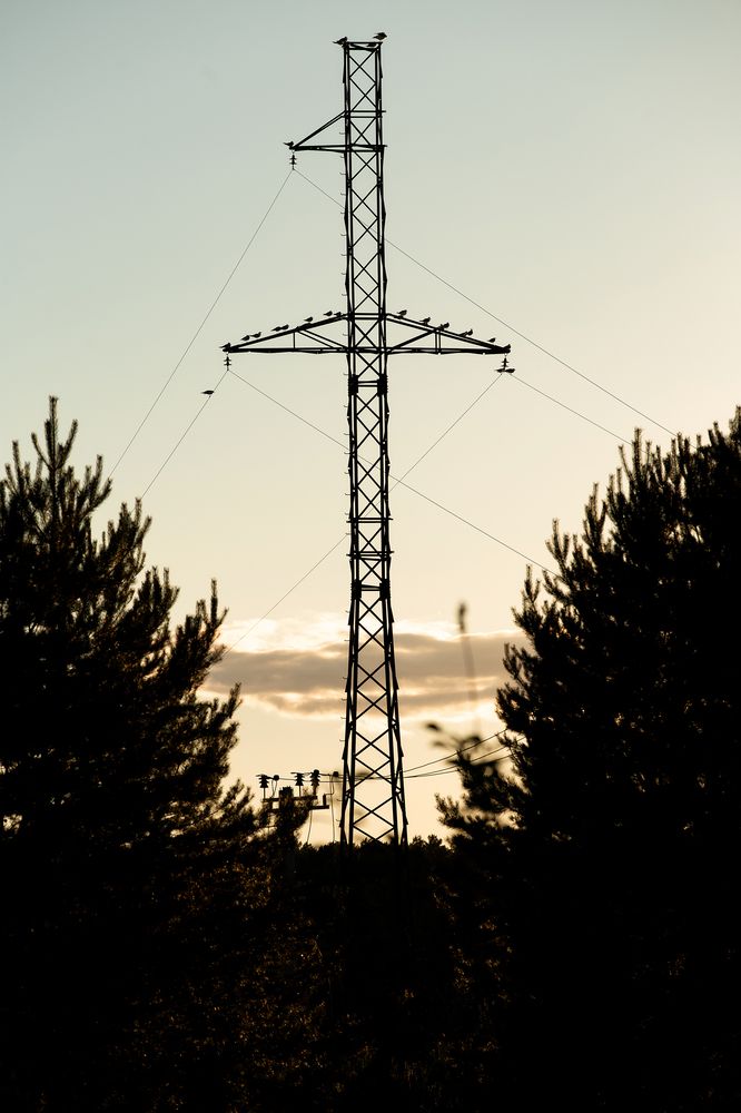 Photograph by Анастасия Петрова