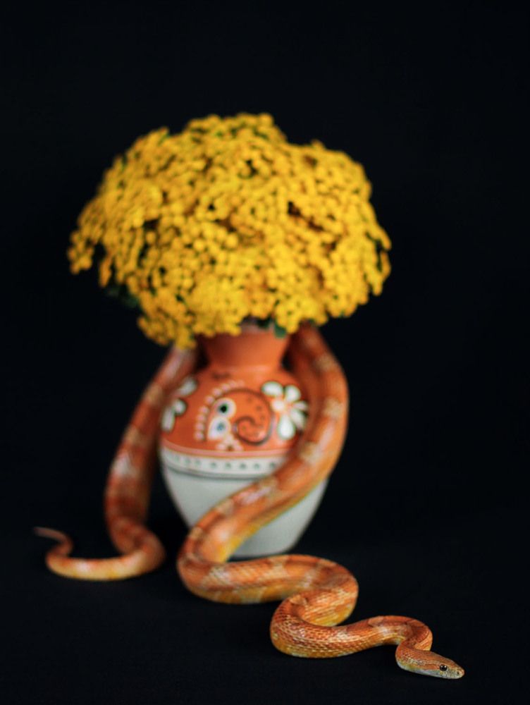 Разноцветные Натюрморты