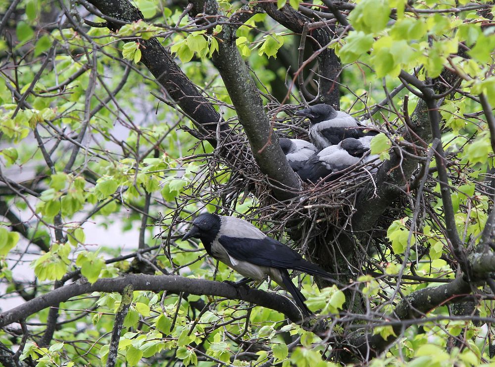 Фотография автора Владислава Андрюнина