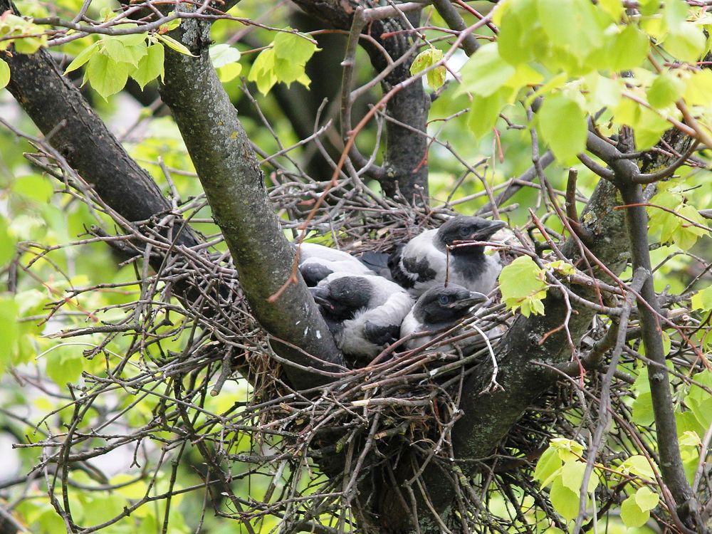 Фотография автора Владислава Андрюнина