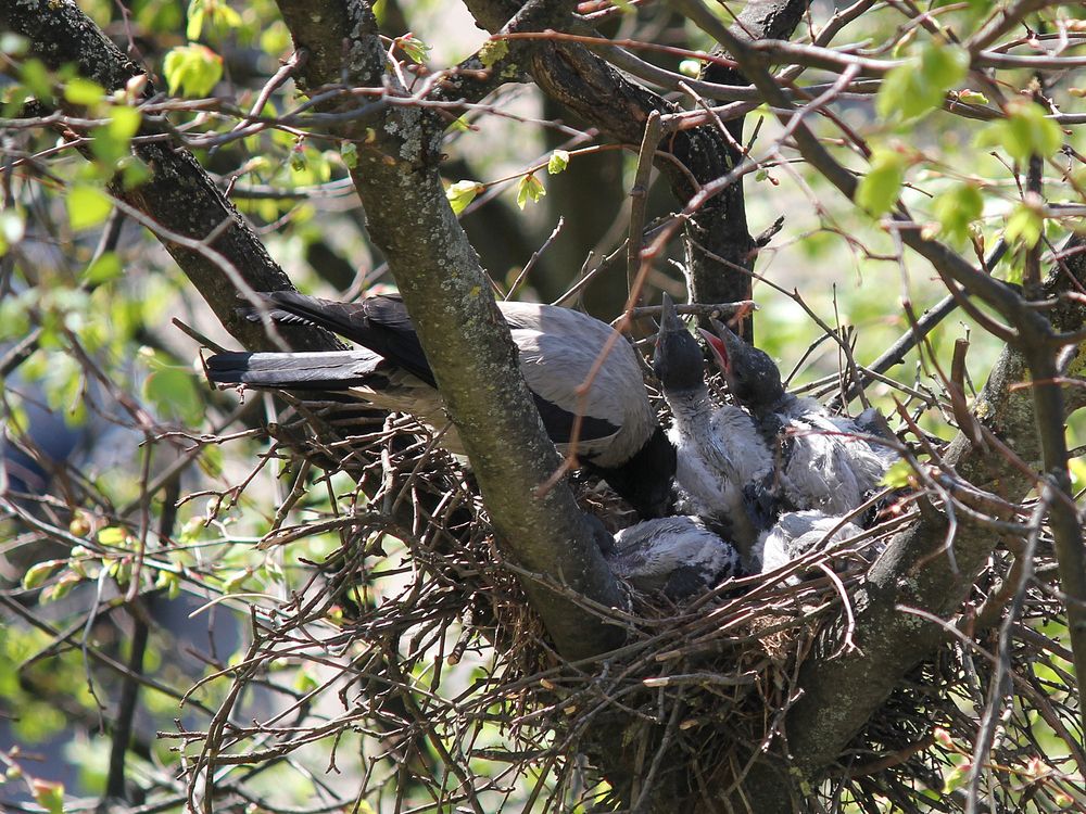Фотография автора Владислава Андрюнина