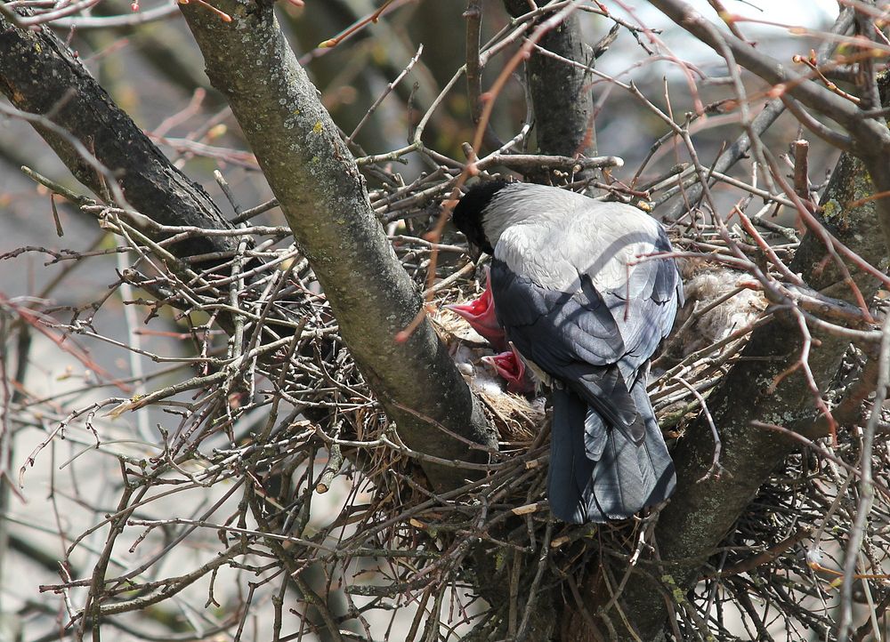Фотография автора Владислава Андрюнина