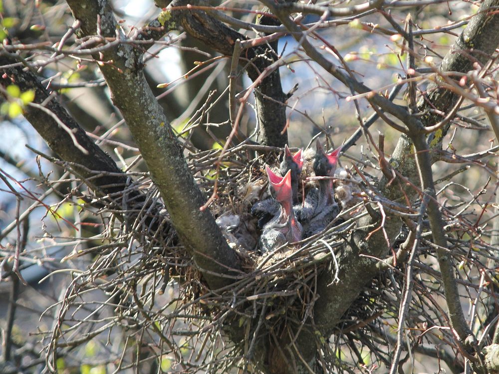 Фотография автора Владислава Андрюнина