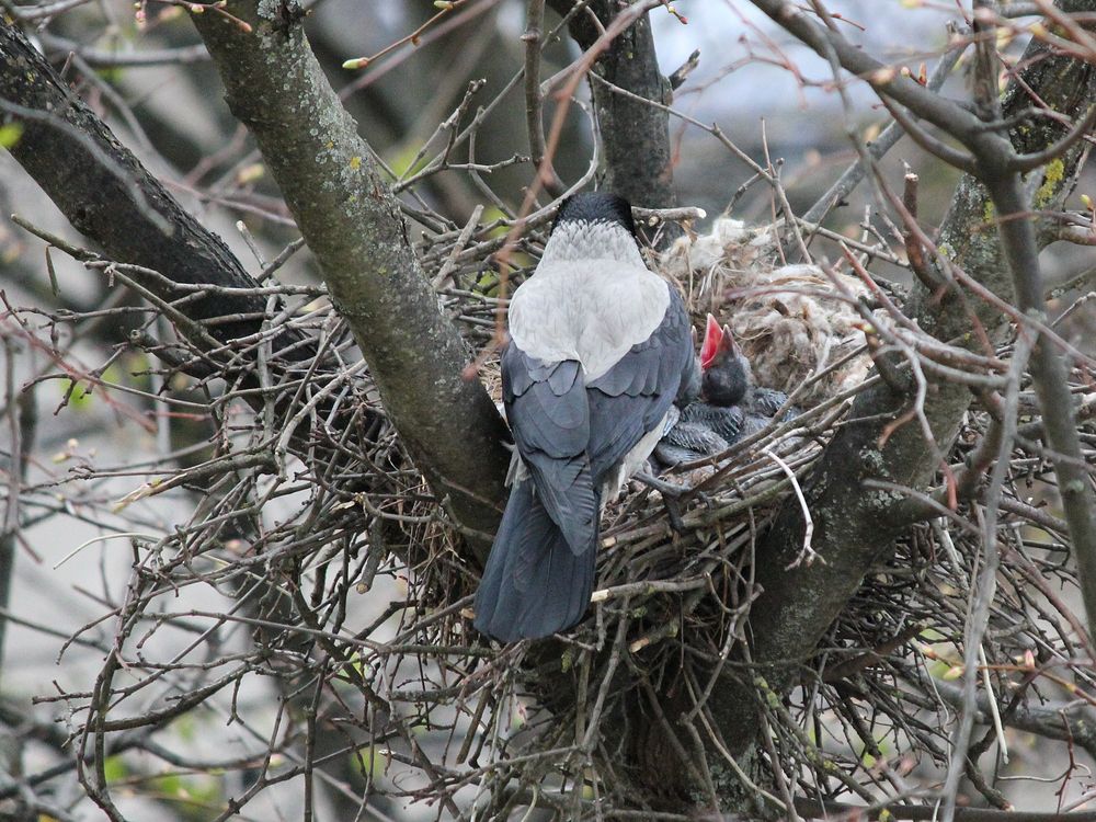 Фотография автора Владислава Андрюнина
