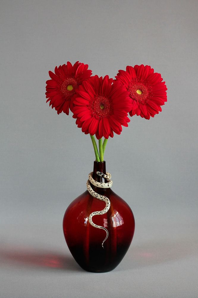 Экзотические Натюрморты