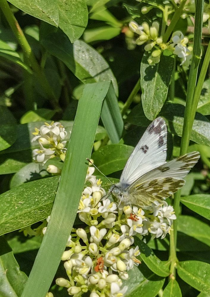 Фотография автора Татьяна