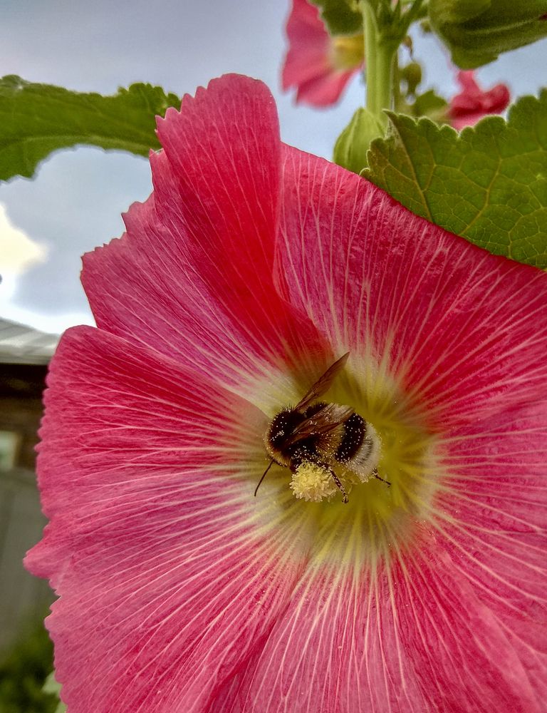 Фотография автора Татьяна