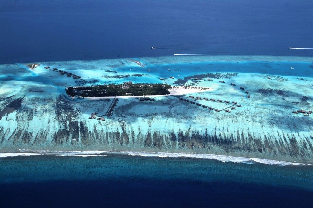 Фотография автора caroline martin (dony)