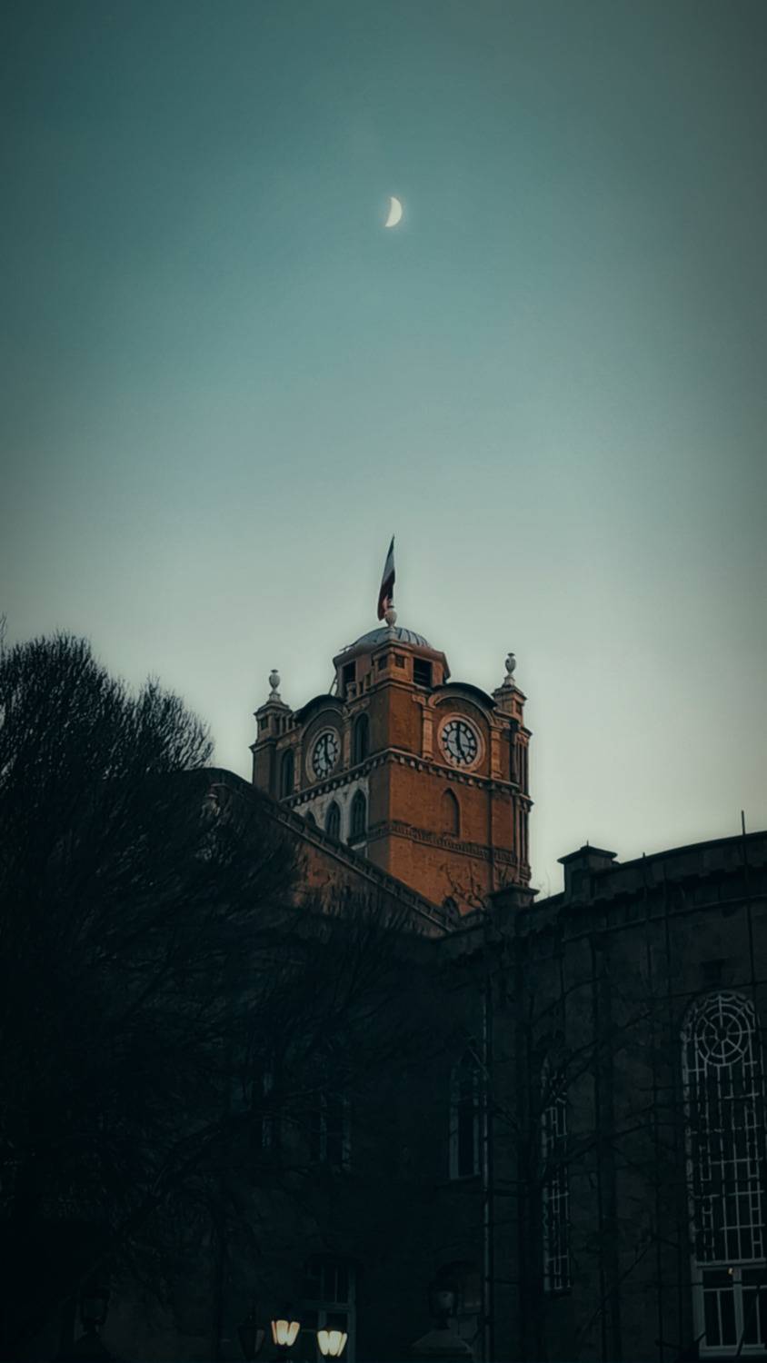 Photo #12052098