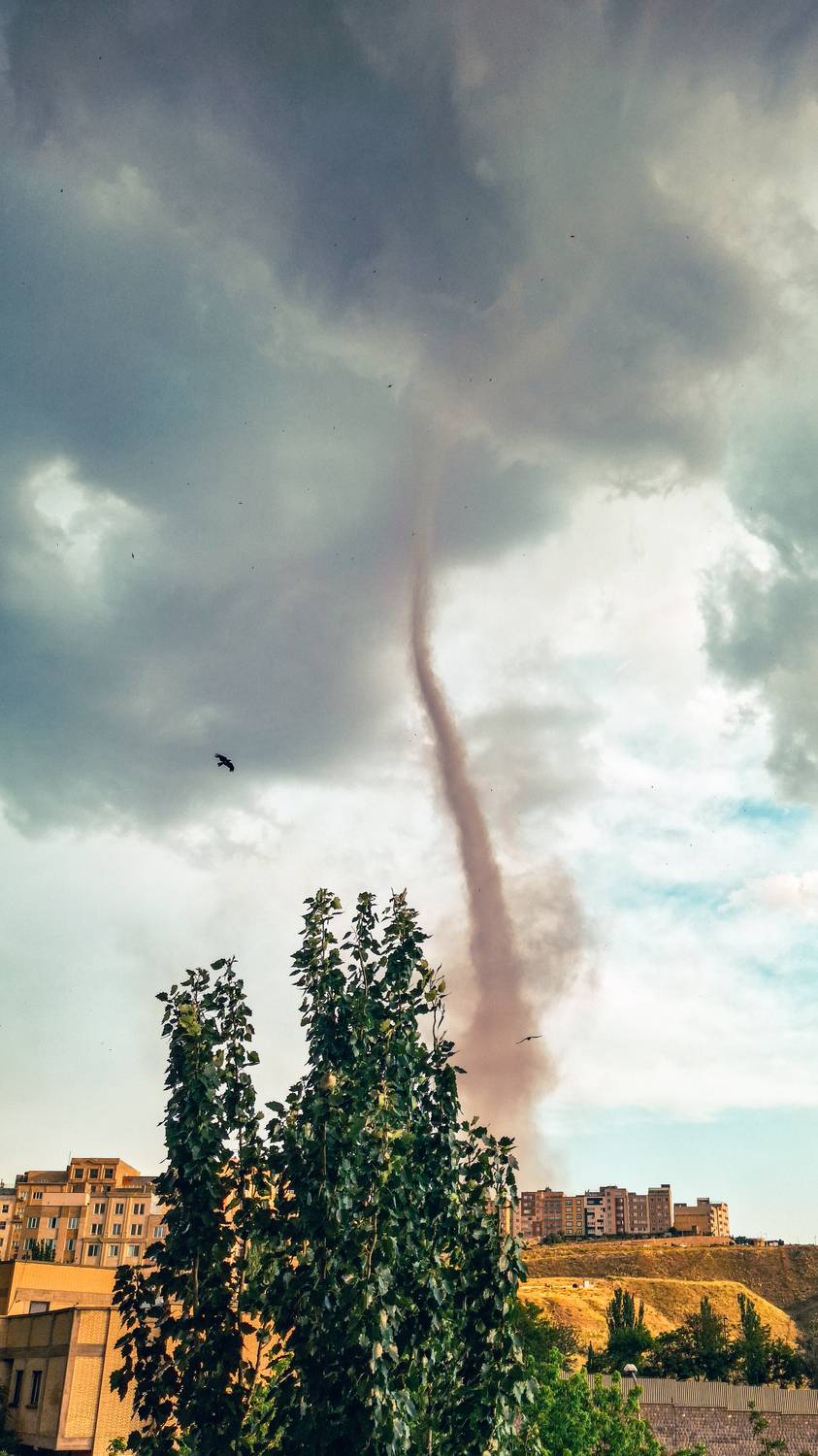 Photo #12052099