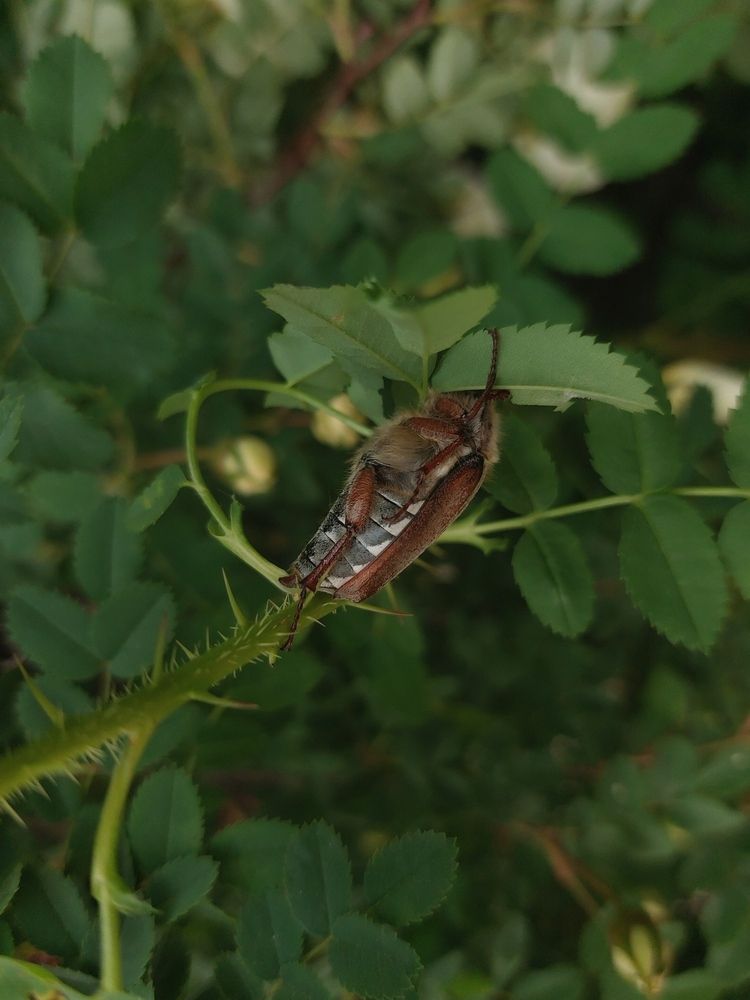 Photograph by Елена Ельчанинова