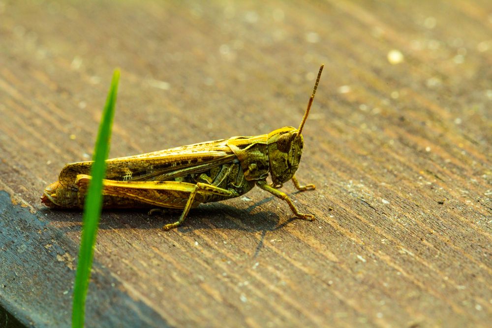 Photograph by Anton Shumanskiy