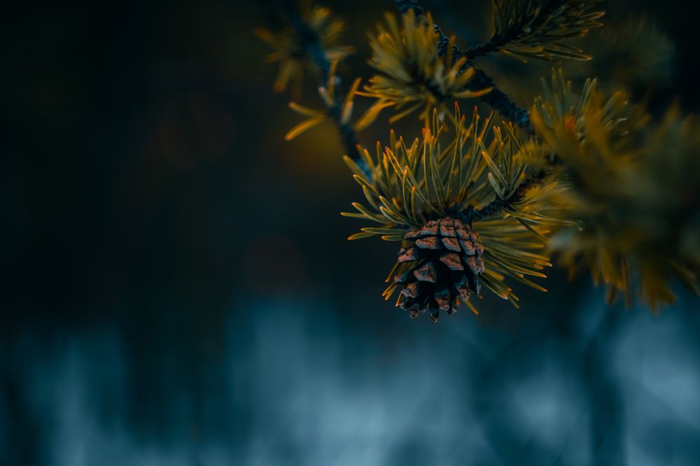 Photograph by Валерий Иванов