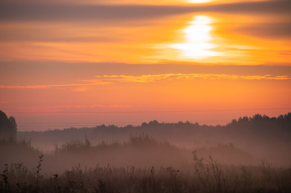 Photograph by Андрей Вешняков
