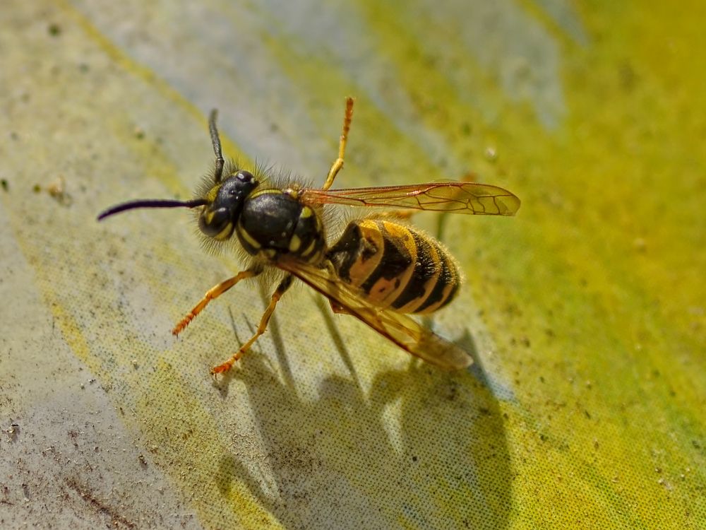 Photograph by Владислав Кравцов