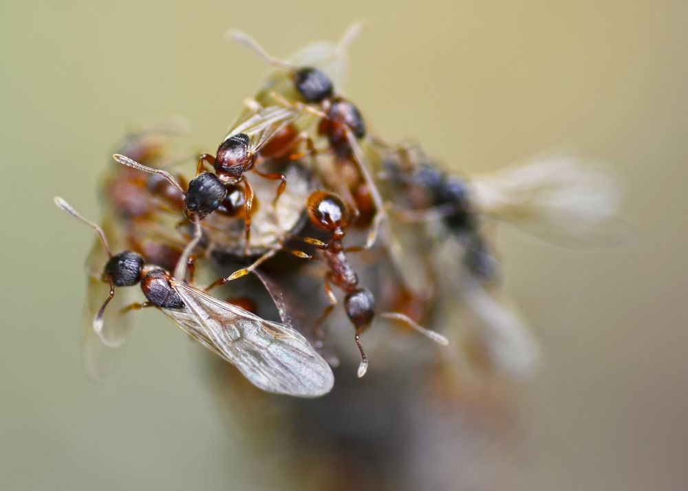 Photograph by Владислав Кравцов