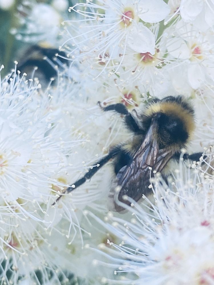 Photograph by Елена Мусина