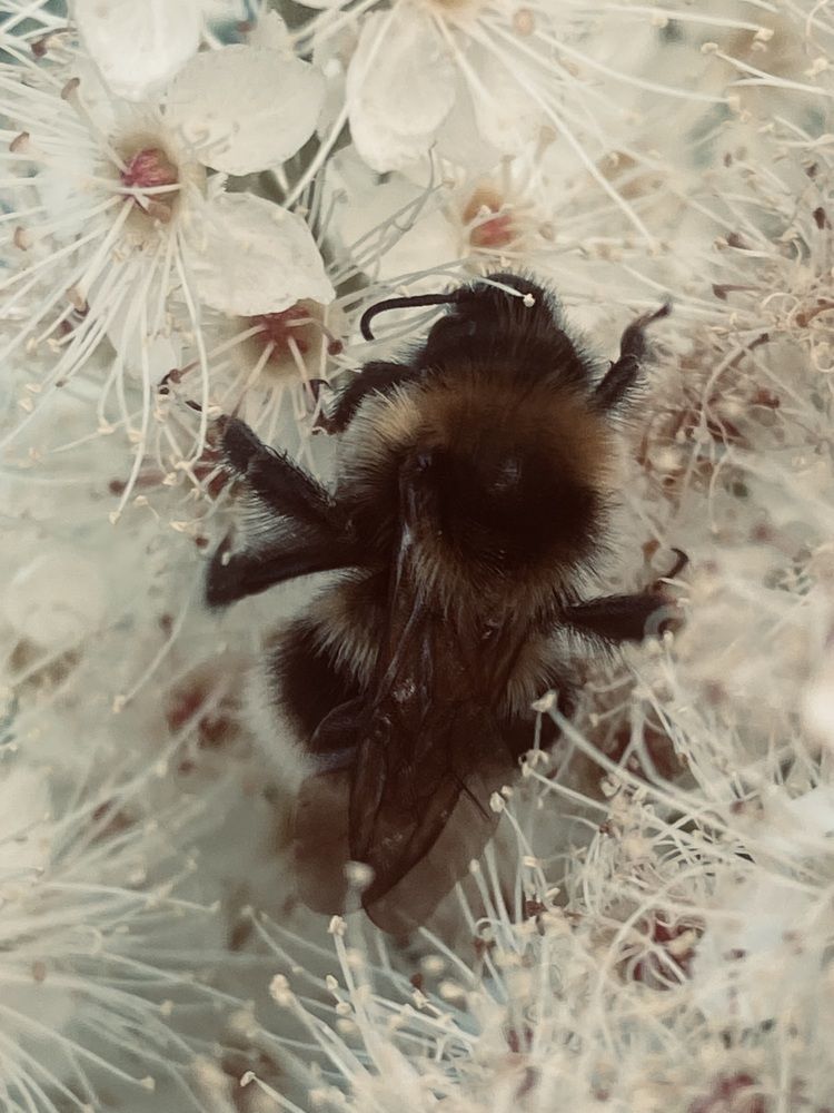 Photograph by Елена Мусина