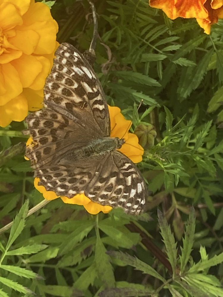 Photograph by Елена Мусина