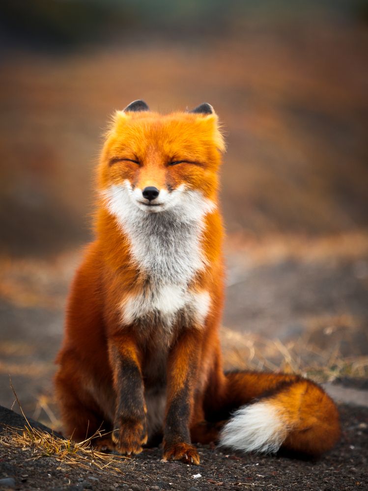 Photograph by Дмитрий Редковский