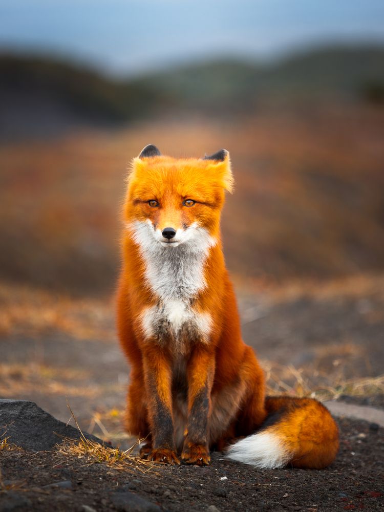 Photograph by Дмитрий Редковский