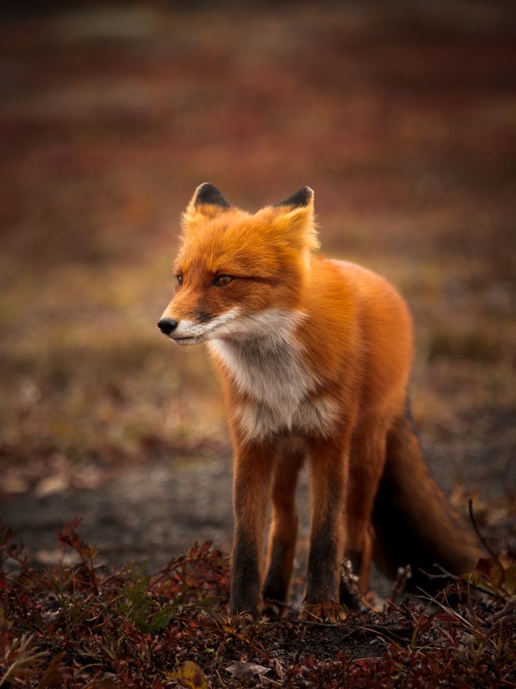 Photograph by Дмитрий Редковский