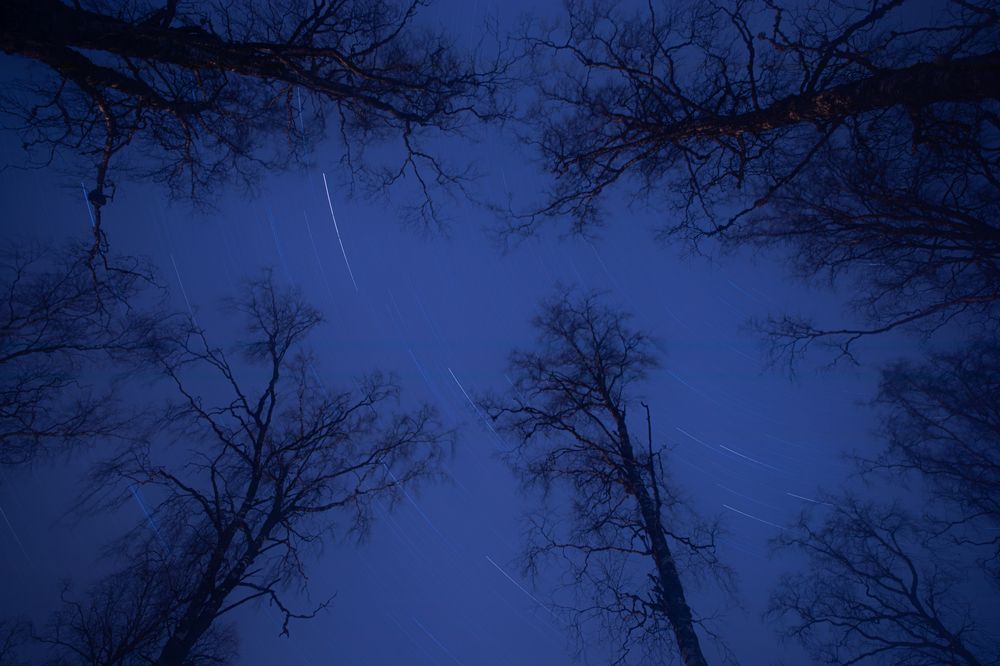 Photograph by Taavi Turvas