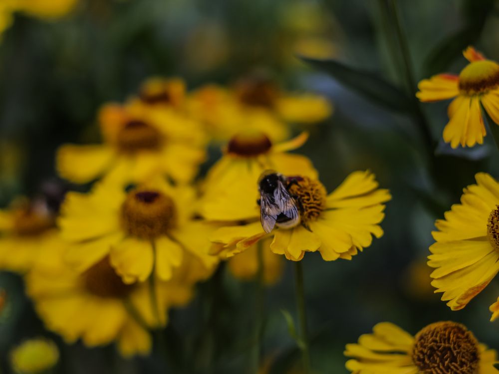 Photograph by Георгий Юркин