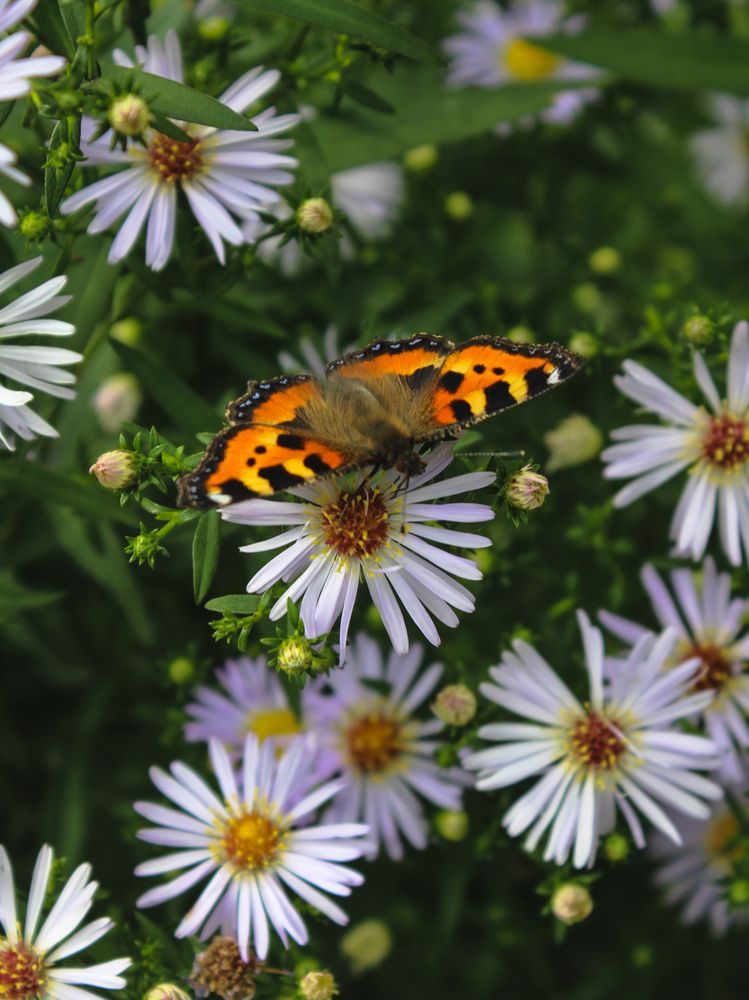 Photograph by Георгий Юркин