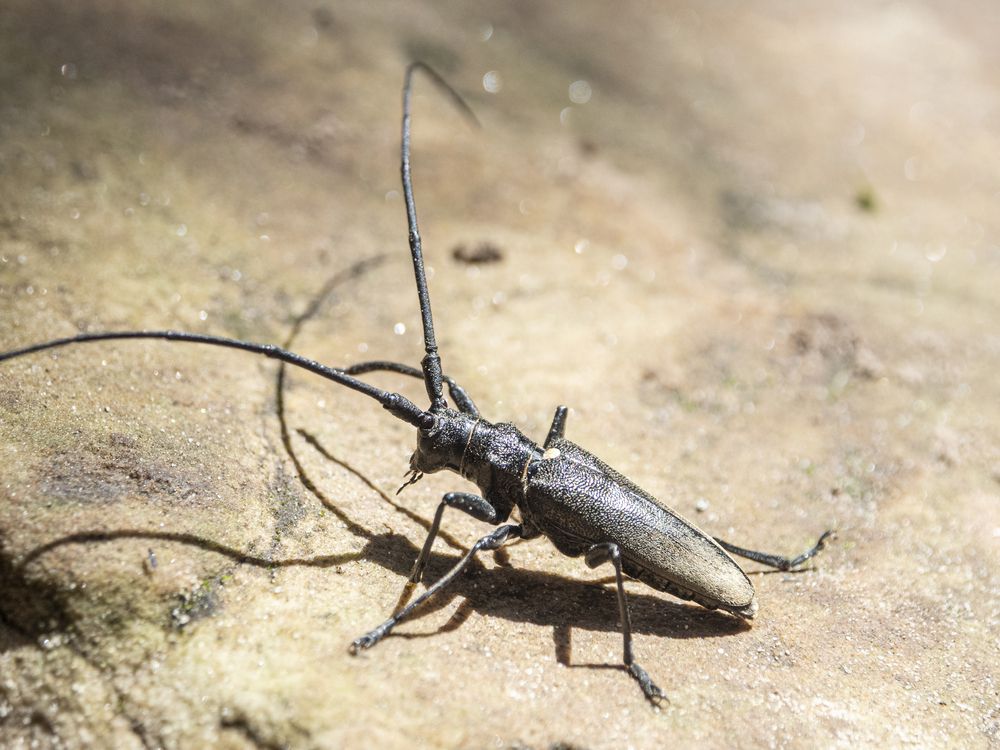 Photograph by Надежда Михайлина