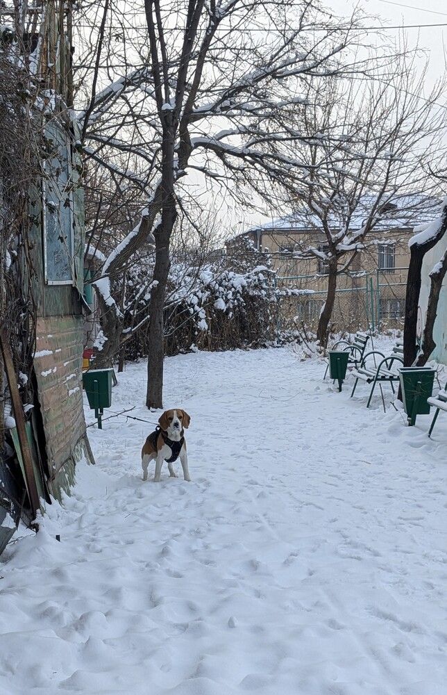 Photograph by Lilit Petrosyan