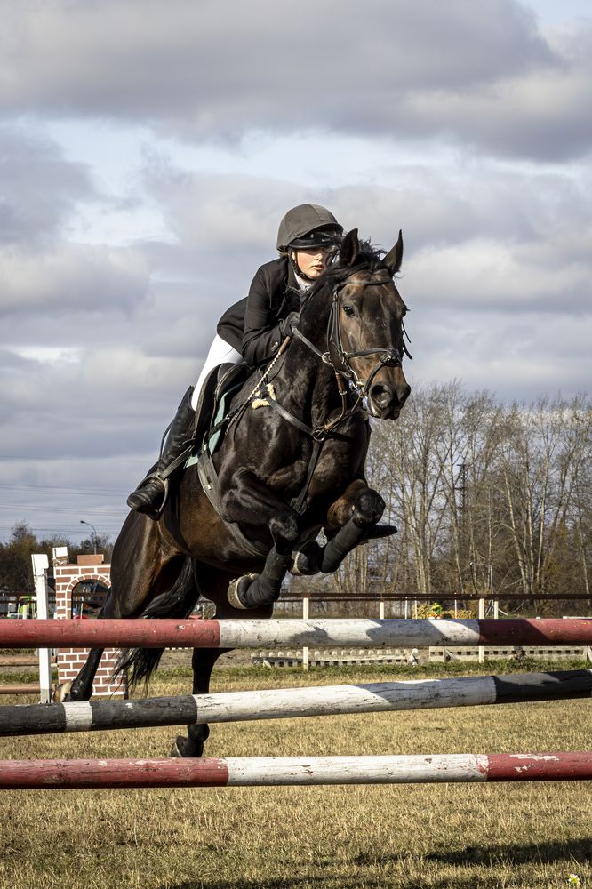 Photograph by Михаил Данилов