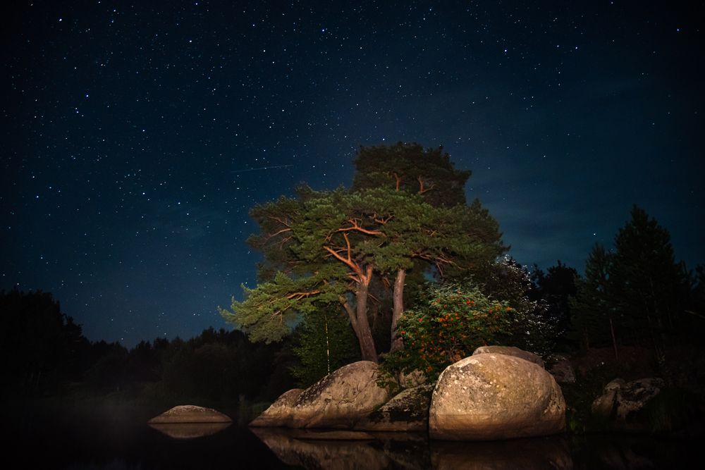 Photograph by Сергей Завьялов